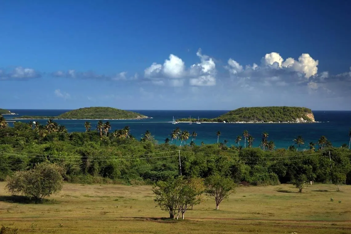 Отель Hacienda Tamarindo Вьекес