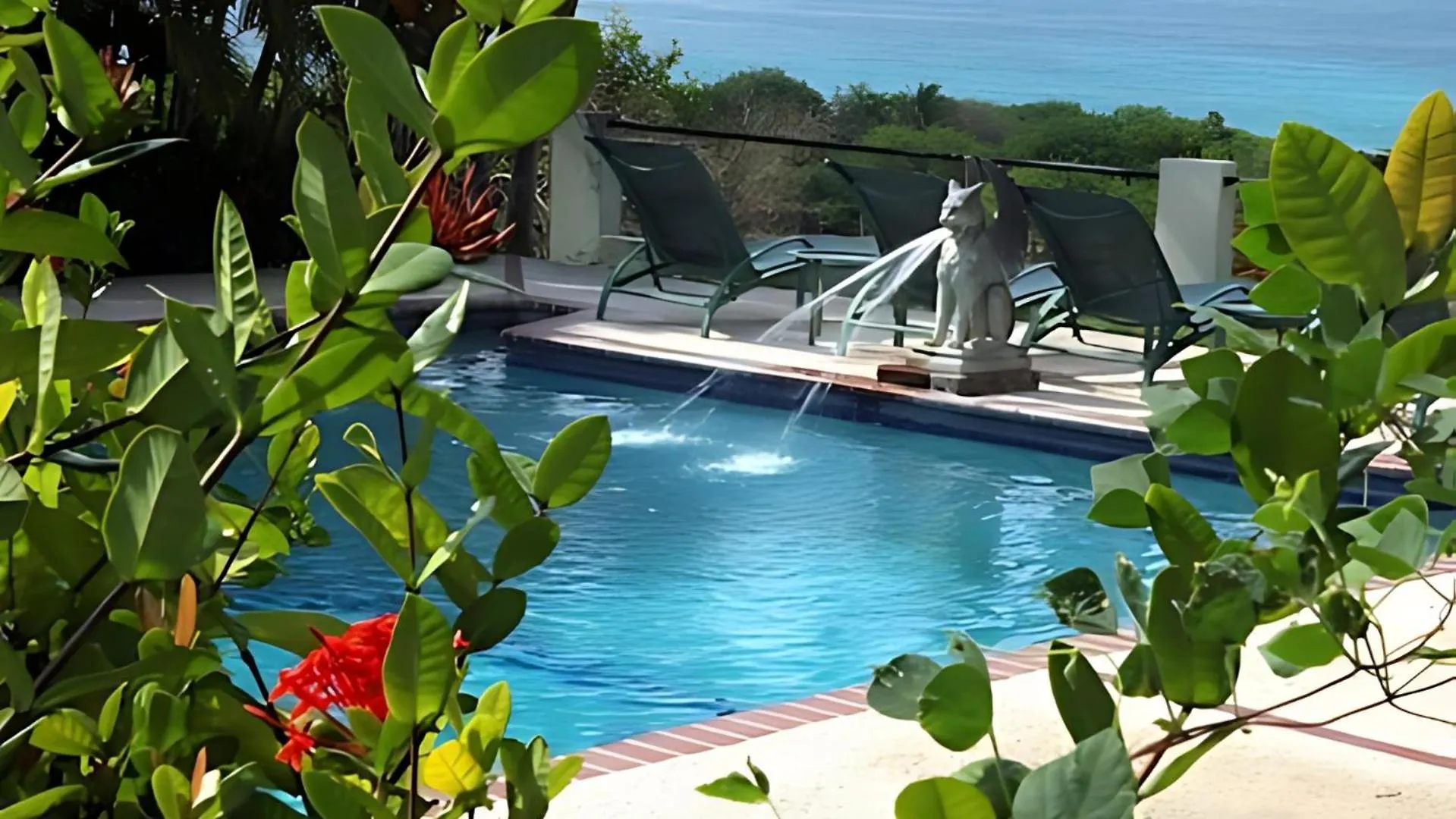 Отель Hacienda Tamarindo Вьекес