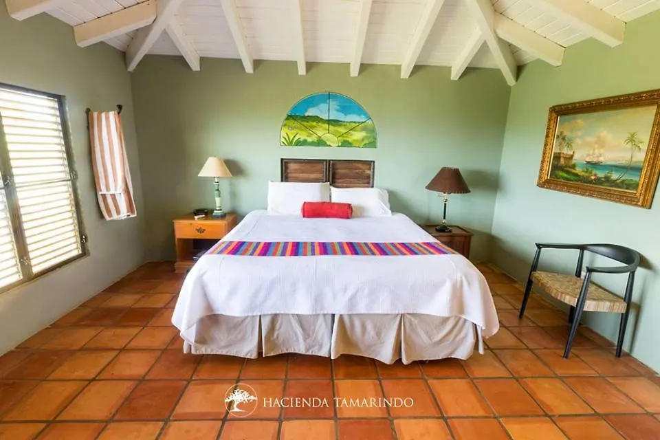 Отель Hacienda Tamarindo Вьекес